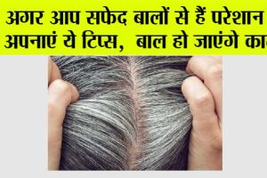 White Hair: अगर आप सफेद बालों से हैं परेशान तो अपनाएं ये टिप्स, बाल हो जाएंगे काले!