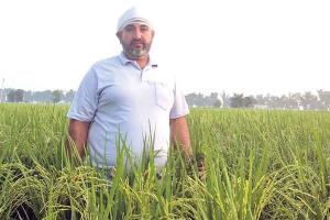 रानियां के किसान बुध सिंह गिल होंगे सम्मानित, सीएम नायब सैनी करेंगे सम्मानित