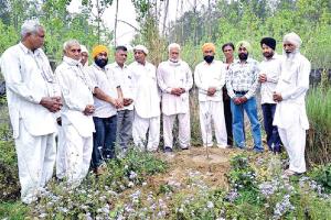छछरौली ब्लॉक के सचखंडवासी सुरेन्द्र कौर की अस्थियों पर किया पौधारोपण