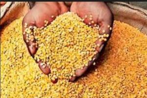 Ration Dealer News: गरीबों का खाद्यान्न डकार गया गोगवान का राशन डीलर, मुकदमा दर्ज
