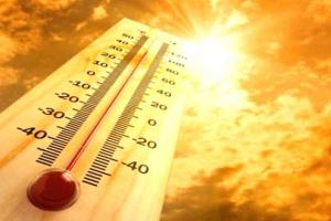 Haryana Punjab Weather Update: हरियाणा-पंजाब में मार्च में ही गर्मी का प्रकोप, हिसार सबसे गर्म; चार दिन और बढ़ेगा तापमान