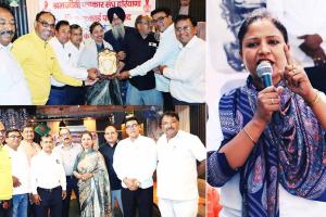 दिल्ली जंतर – मंतर पर गरजेंगे हरियाणा के श्रमजीवी पत्रकार: डॉ. इंदु बंसल