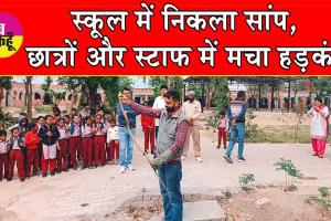 Snake News: स्कूल में निकला सांप, छात्रों और स्टाफ में मचा हड़कंप