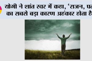 योगी ने शांत स्वर में कहा, ‘राजन, पतन का सबसे बड़ा कारण अहंकार होता है