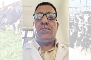 पशुपालन विभाग ने जारी की विशेष एडवाइजरी, गर्मी में पशुओं का रखें ख्याल