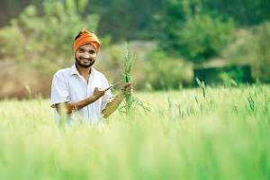 Farmers News: खुशखबरी! किसानों को मिलेगा सरकार से एक करोड़ तक का अनुदान!