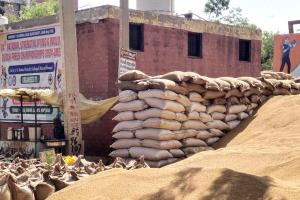 भूपेंद्र सिंह हुड्डा ने किया हांसी अनाज मंडी का दौरा, व्यवस्थाओं पर उठाए सवाल