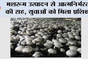 मशरूम उत्पादन से आत्मनिर्भरता की राह, युवाओं को मिला प्रशिक्षण