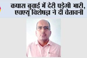 कपास बुवाई में देरी पड़ेगी भारी, एचएयू विशेषज्ञ ने दी चेतावनी