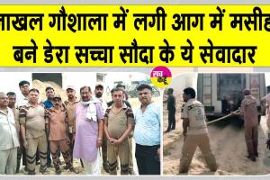 Jakhal Gaushala Fire: जाखल में शाह सतनाम जी ग्रीन एस के सेवादार बने गोशाला में लगी आग में मसीहा