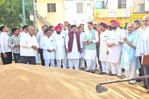 राज्यसभा सांसद सुभाष बराला ने जाखल मंडी में गेहूं खरीद व्यवस्था की समीक्षा की