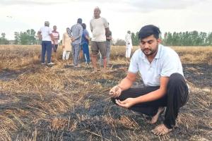 Wheat Crop Burned: आग लगने से तीन एकड़ गेहूं की फसल जली, किसानों व फायर ब्रिगेड ने पाया काबू