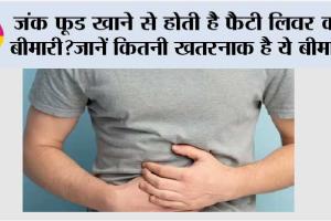 Liver Health: जंक फूड खाने से होती है फैटी लिवर की बीमारी?जानें कितनी खतरनाक है ये बीमारी