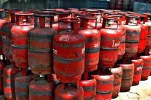 फतेहाबाद में एलपीजी की कालाबाजारी पर सख्ती, अब तक 91 सिलेंडर जब्त