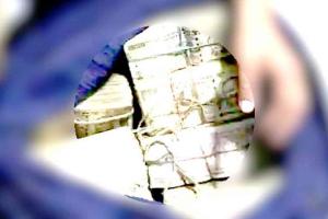 Sirsa News: सरसा के गांव मलिकपुरा के इस नशा तस्कर की करोड़ों की संपत्ति फ्रीज