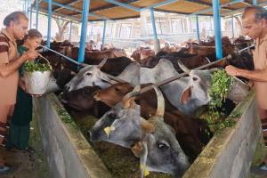 ऐसे मनाया ब्लॉक डबवाली के इस सेवादार ने अपना जन्मदिन!