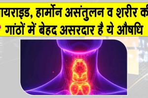 Kanchanar Guggulu Benefits: कंचनार गुग्गुलु! थायराइड, हार्मोन असंतुलन व शरीर की गांठों में है बेहद असरकारक