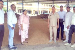 सचिव सुदेश कुमारी ने मंडी में व्यवस्थाओं का लिया जायजा