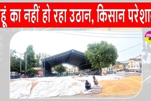 सरसा की अनाज मंडियां गेहूं से लबालब, नहीं हो रहा उठान, किसान परेशान