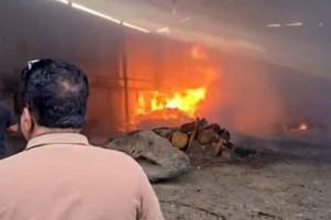 Fire: प्लाईवुड फैक्ट्री में लगी आग से लाखों का नुकसान