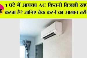 Ac Tips And Tricks: 1 घंटे में आपका AC कितनी बिजली खाता है? घर बैठे ऐसे करें मिनटों में चेक