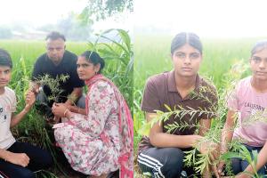 डेरा श्रद्धालु परिवार ने बेटी के जन्मदिन पर 250 पौधे लगाकर मनाया जन्मदिन