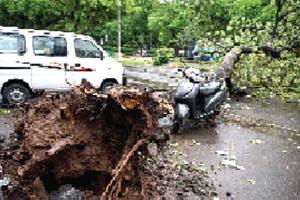 Heavy Rain: मोहाली, चंडीगढ़ सहित पंचकूला में तूफान व बारिश ने मचाई भारी तबाही