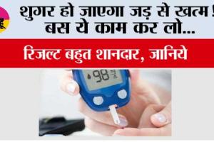 Diabetes: शुगर हो जाएगा जड़ से खत्म! बस ये काम कर लो...