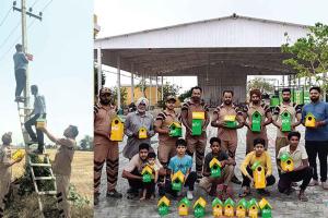 Bird Nurturing Campaign: ब्लॉक गोबिंदगढ़ जेजियां के डेरा श्रद्धालुओं ने पक्षियों के लिए बांधे परिंडे 