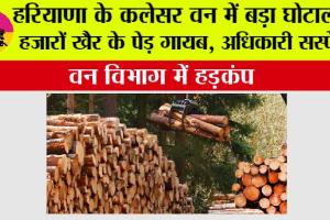 Haryana Environment News: हरियाणा के कलेसर वन में बड़ा घोटाला! हजारों खैर के पेड़ गायब, अधिकारी सस्पेंड