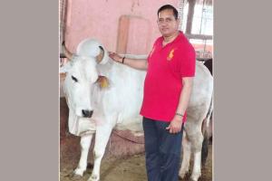 Gaushala News: गौ संवर्धन को बढ़ावा- पूर्व विधायक डॉ. पवन सैनी ने सरकार की ओर से श्री कृष्ण गौशाला समिति को सौंपी 20.92 लाख की सहायता राशि