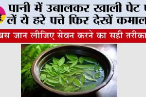 Neem Leaf Water Benefits: पानी में उबालकर खाली पेट पी लें ये हरे पत्ते फिर देखें कमाल... 