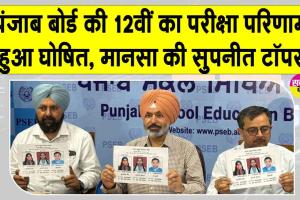 PSEB 12th Result: पंजाब बोर्ड ने 12वीं का रिजल्ट किया जारी, ऐसे देखें अपना रिजल्ट