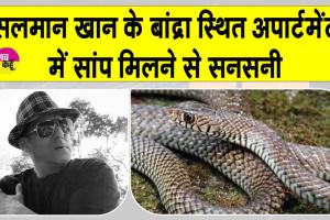 Snake News: सलमान खान के गैलेक्सी अपार्टमेंट में 'घोड़ा पछाड़' सांप मिलने से मचा हड़कंप