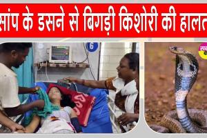 Snake News: सो रही 14 वर्षीय किशोरी को जहरीले सांप ने डसा, अस्पताल में भर्ती, हालत गंभीर