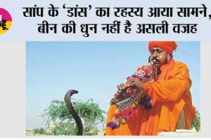 Snake Internal Ear: क्या सच में बीन की धुन पर नाचता है सांप? जानिए इसके पीछे का वैज्ञानिक सच
