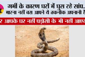 Snake Safety Tips: गर्मी के कारण सांप घर में आ रहे है ...मारना नहीं बस आपने ये तकनीक अपनानी है...फिर आपके घर नहीं पड़ोसी के भी नहीं आएगा