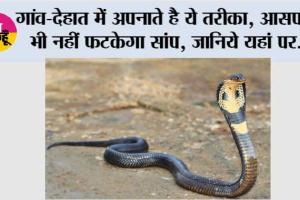 Snake: गांव-देहात में अपनाते है ये तरीका, आसपास भी नहीं फटकेगा सांप, जानिये यहां पर