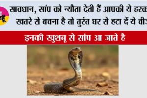 Snakes News: सावधान, सांप को न्यौता देती हैं आपकी ये हरकतें! खतरे से बचना है तो तुरंत घर से हटा दें ये चीजें