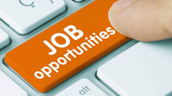 Assistant Librarian Recruitment: युवाओं के लिए खुशखबरी, सीजीपीएससी में लाइब्रेरियन पदों पर निकली वैकेंसी
