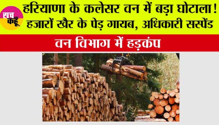 Haryana Environment News: हरियाणा के कलेसर वन में बड़ा घोटाला! हजारों खैर के पेड़ गायब, अधिकारी सस्पेंड