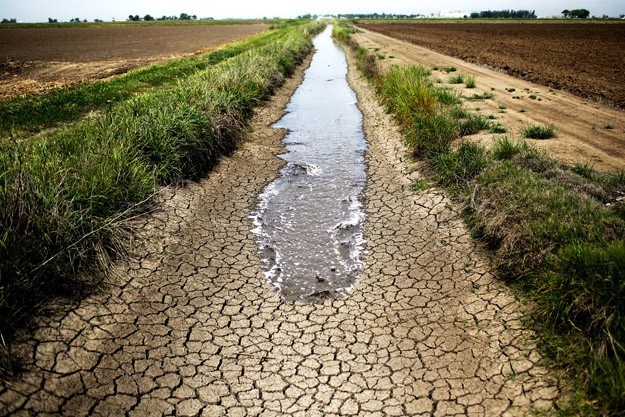 Farmers, Income, Irrigation Projects, Haryana