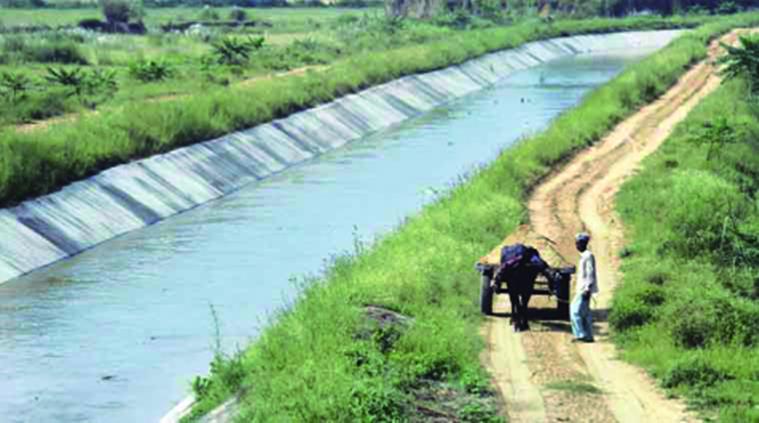 Revival of Canals in Haryana