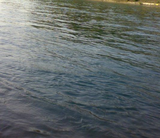 भाखड़ा ब्यास मैनेजमेंट बोर्ड की समीक्षा बैठक, प्रस्ताव खारिज Kushiyara River