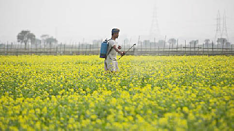 Crop Prices, Government, Hindi Editorial