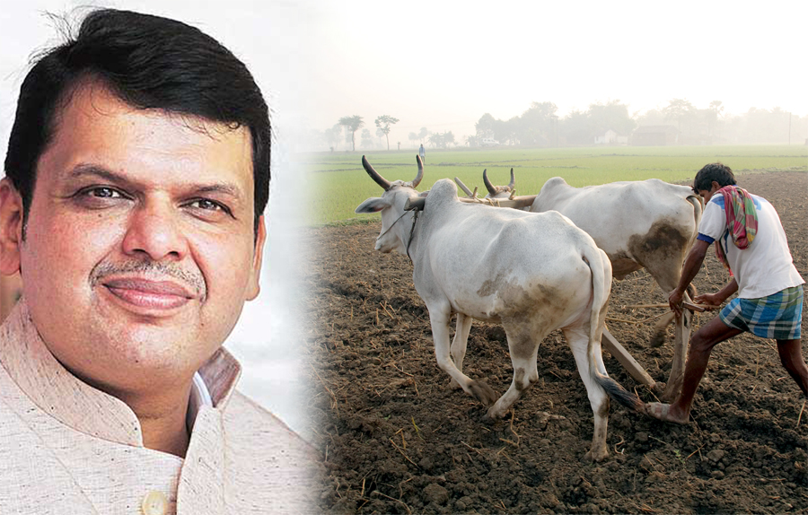 Maharashtra Govt, Generosity, Farmers, Crop