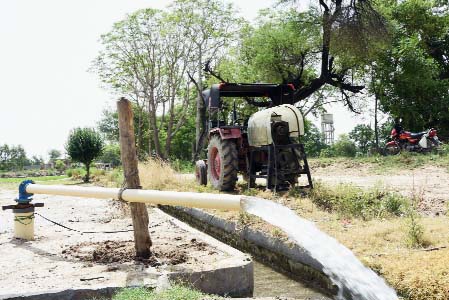 Thermal Plant, Planting, Paddy, Farmers, Crop, Punjab