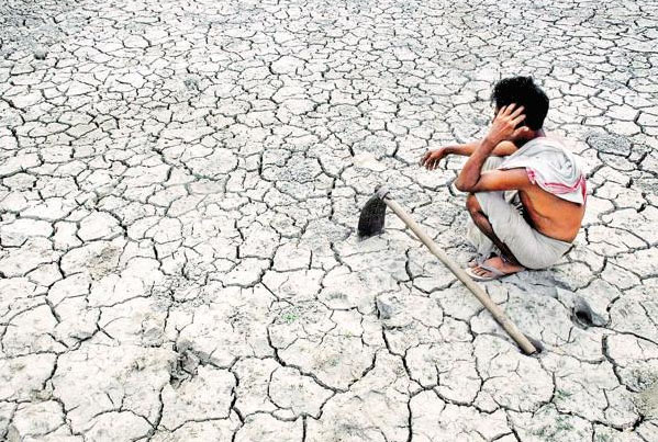 Farmers, Suicide, Summer, Crop, Loss