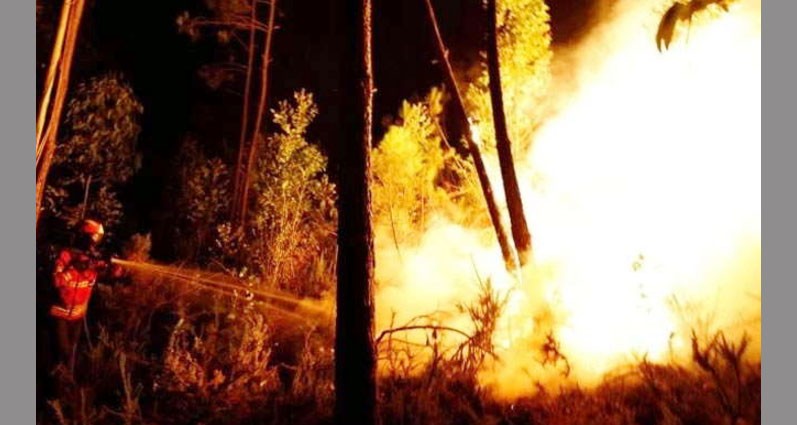 Dangerous, Fire, Forest, Portugal, Death, Injured