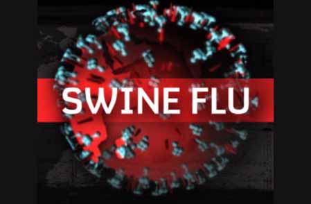 Death, Elderly, Swine Flu Virus, Health Department, Punjab